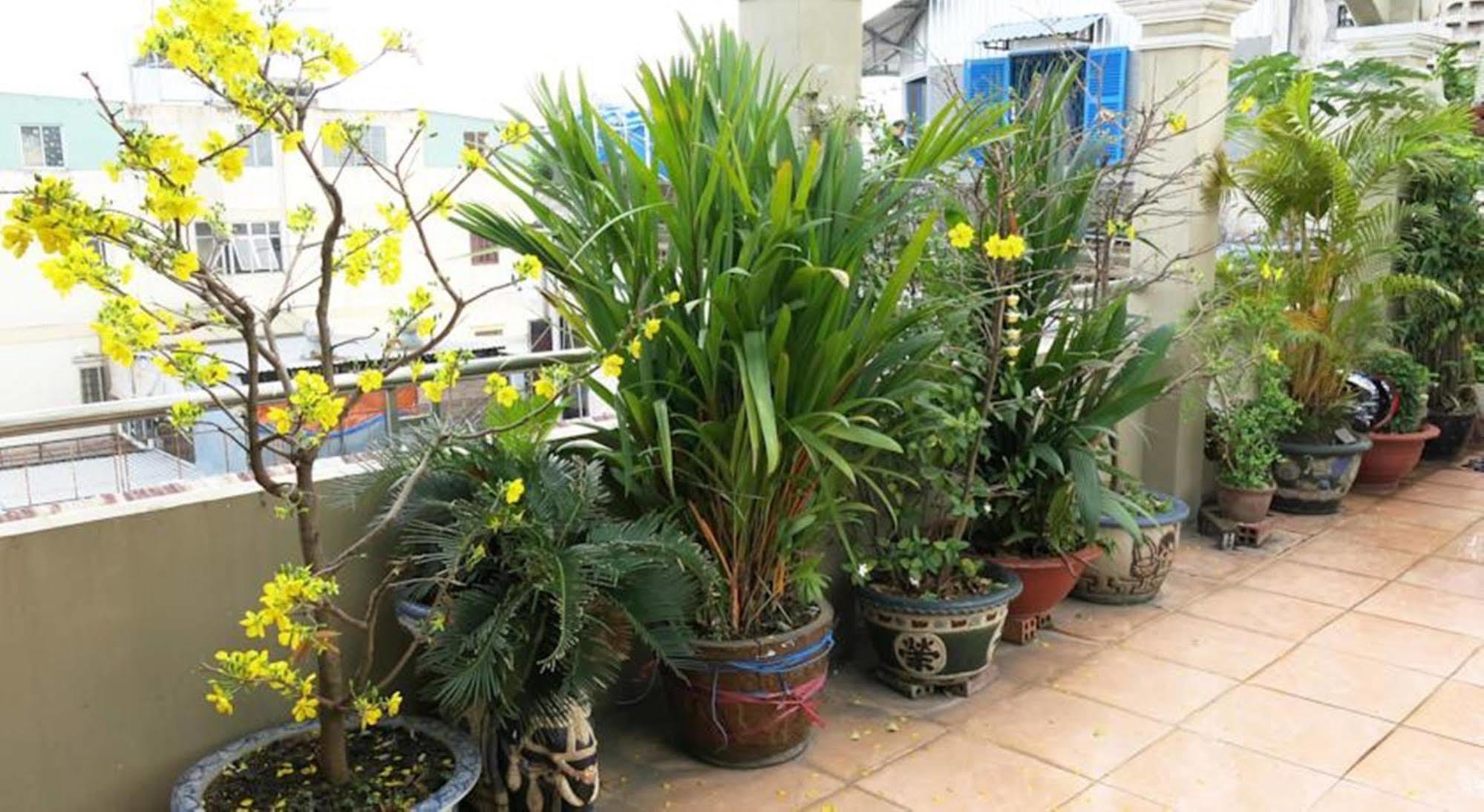 Banana Leaf Hotel Thành Pho Ho Chí Minh Esterno foto
